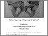 [thumbnail of 179Ives2024phdthesis.pdf]