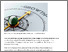 [thumbnail of Nigeria must wake up to the changing role of state governments.pdf]
